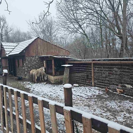 Villa Tino Omorani Veles Bagian luar foto