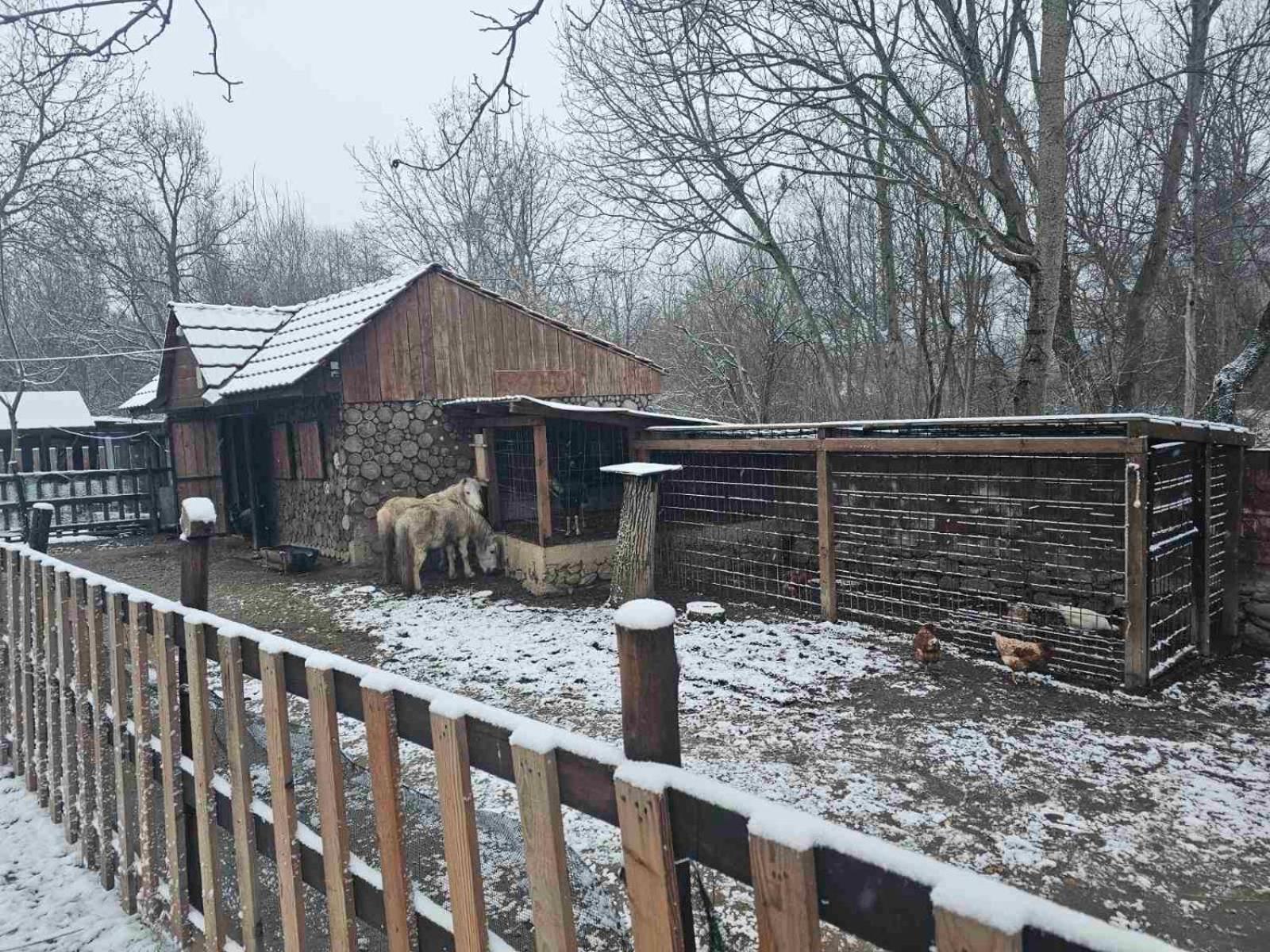 Villa Tino Omorani Veles Bagian luar foto