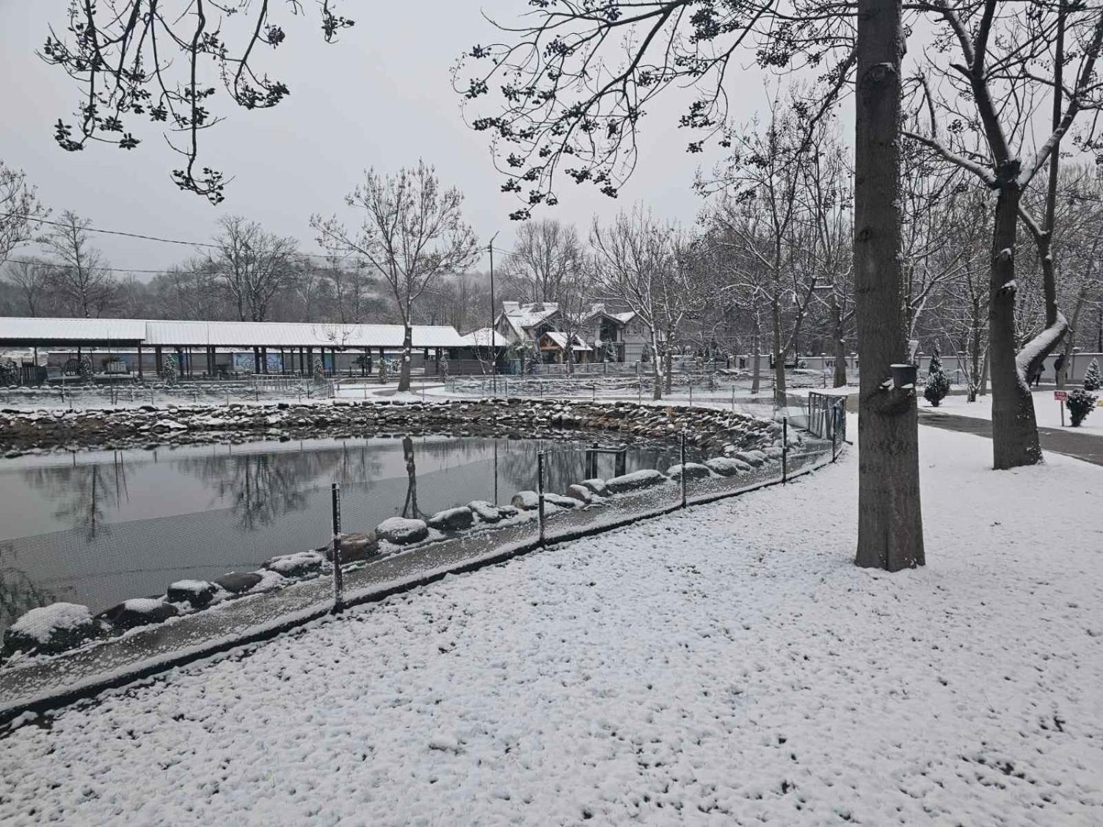 Villa Tino Omorani Veles Bagian luar foto