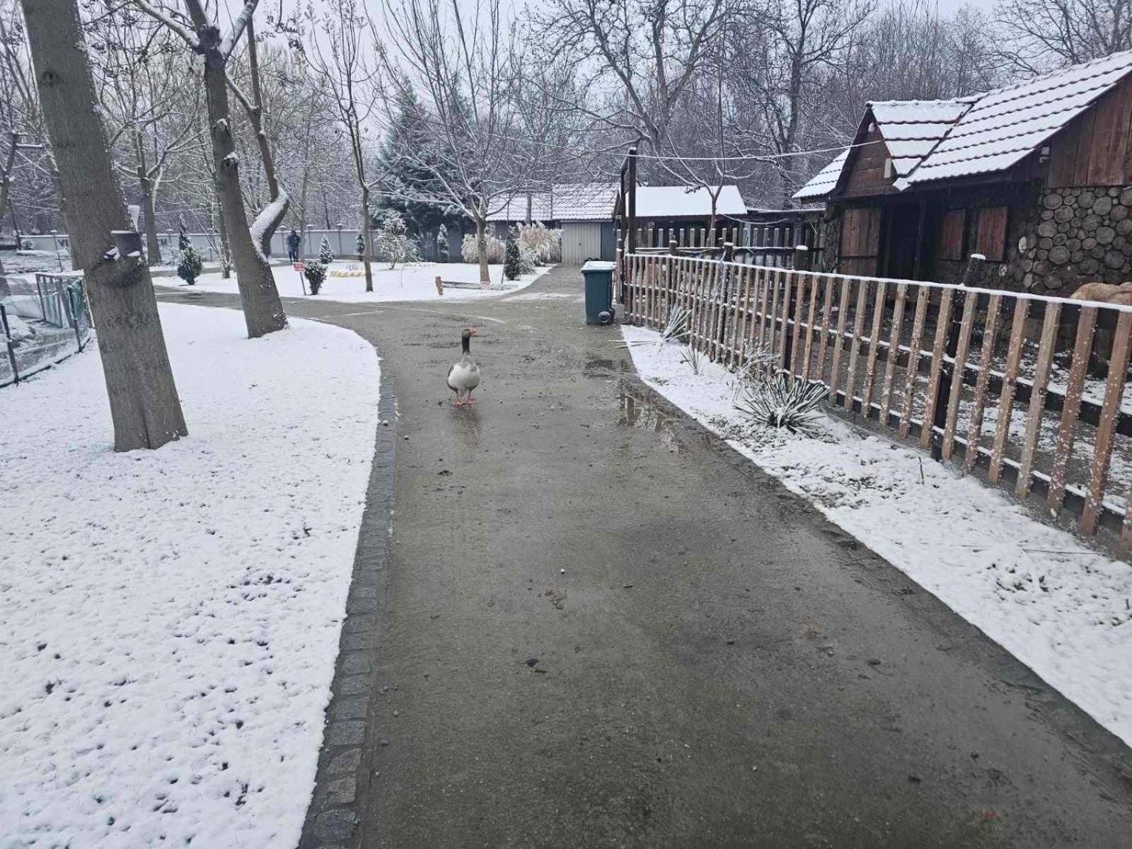 Villa Tino Omorani Veles Bagian luar foto