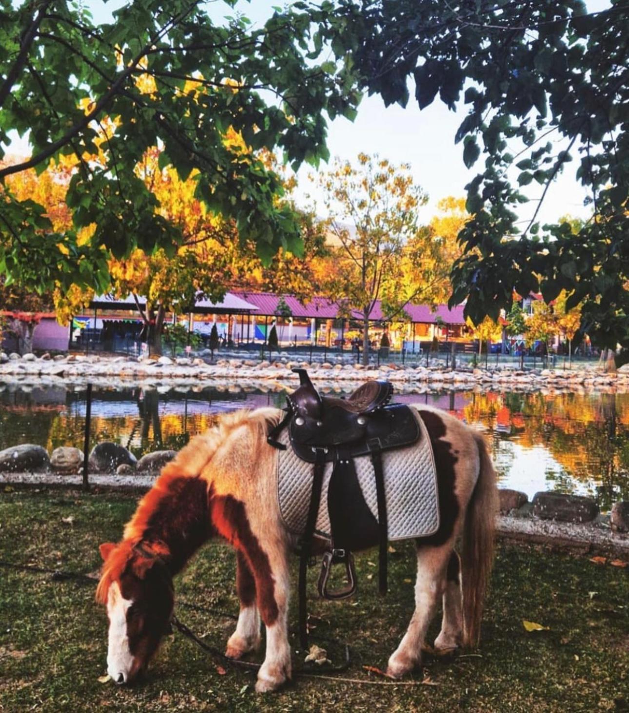 Villa Tino Omorani Veles Bagian luar foto